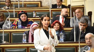 «برلمانية»: مصر بذلت جهودا كبيرة لوقف العدوان الإسرائيلي الغاشم على قطاع غزة