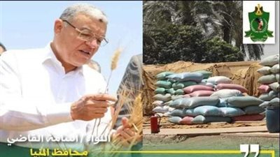 شون وصوامع المنيا تستقبل 124 ألف طن من محصول القمح لموسم حصاد 2024
