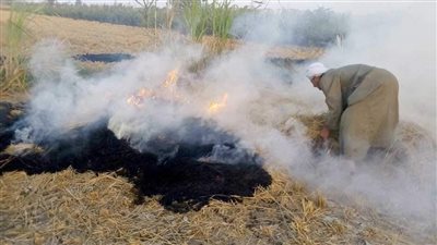 بسبب قش الأرز.. مصرع مسن خنقا في قطور