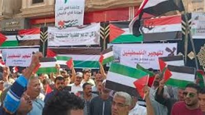 مظاهرات بعدد من المحافظات مؤيدة لقطاع غزة وداعمة لجهود السيسي تجاه القضية