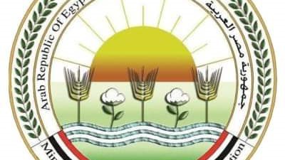 تقدم 200 شركة.. «الزراعة» تواصل تلقي طلبات المشاركة بمعرض زهور الربيع