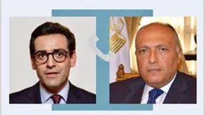 وزيرا خارجية مصر وفرنسا يؤكدان ضرورة وقف إطلاق النار في غزة