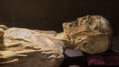 صدق أو لا تصدق.. ألوان الطلاء في أوروبا مصنوعة من بقايا المومياء