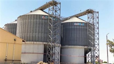 صوامع القاهرة تستقبل 10 ألف طن قمح في موسم الحصاد