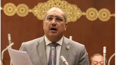 النائب إيهاب وهبة يطالب الحكومة بإنشاء مراكز تنمية شبابية جديدة ذات قيمة اقتصادية 