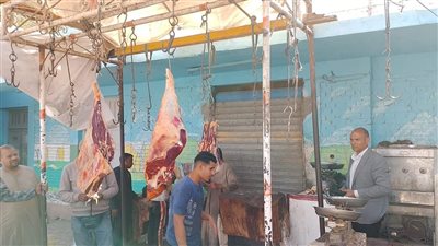 تموين المنيا: ضبط 87 مخالفة خلال حملات رقابية على المخابز البلدية والأسواق 