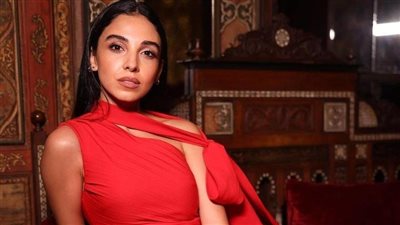 سلمى أبو ضيف تعلن حملها وتكشف عن نوع الجنين (صورة)