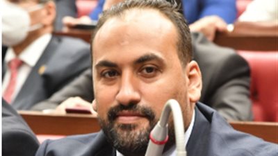 «برلماني»: مصر قادت وتبنت القضية الفلسطينية وحشدت الرأي العام العالمي لصالحها