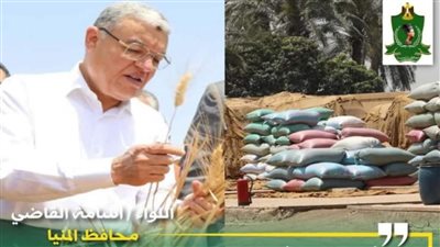 محافظ المنيا: شون وصوامع المحافظة تواصل استقبال القمح وتوريد 238 ألف طن