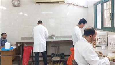 تقرير هام أمام وزير الزراعة حول حصيلة فحص البطاطس المصدرة للخارج 