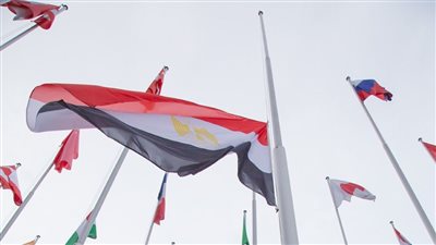 رفع العلم المصري داخل مقر الوكالة الدولية لبحوث السرطان 
