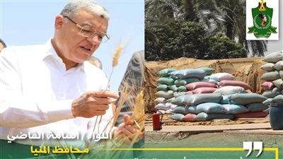 توريد 264 ألف طن قمح لشون صوامع المنيا منذ بدء الموسم