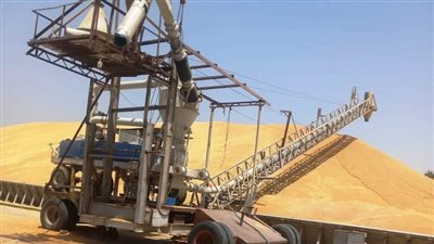 محافظ أسوان: توريد 225 ألف و427 طن من القمح 