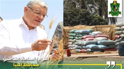 محافظ المنيا: توريد 271 ألف طن قمح لشون صوامع المحافظة منذ بدء الموسم
