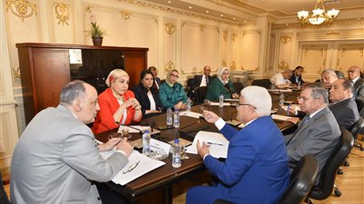 مجلس النواب يستعرض مشاكل أصحاب المشروعات الصغيرة مع التأمينات الأجتماعية