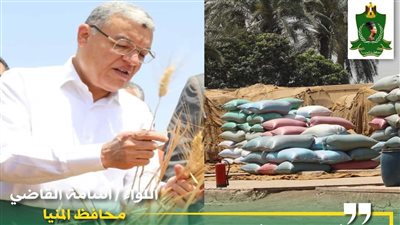 توريد 277 ألف طن قمح بشون وصوامع المنيا منذ بدء الموسم