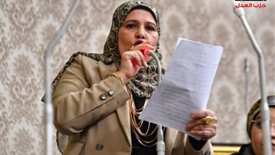 برلمانية تتقدم بطلب إحاطة لرئيس الحكومة ووزارتين في واقعة معدية أبو غالب