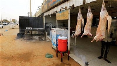 الأمطار تهدم 800 منزل في مدينة الفاشر المحاصرة من الدعم السريع