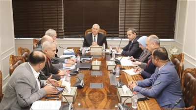 الزراعة: رقم قياسي لصادرات مصر من البطاطس.. اعرف التفاصيل