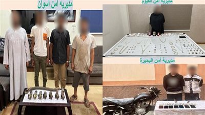 قطاع الأمن العام يضبط عصابات جرائم السرقة في 4 محافظات|صور