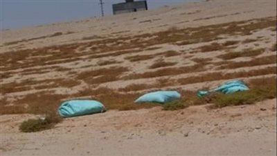 بغرفة عازلة للصوت بالأندلس وميول سادية.. تفاصيل القبض على 