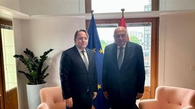 ‎سامح شكري يبحث مع المفوض الأوروبي للجوار سبل تفعيل الشراكة الاستراتيجية