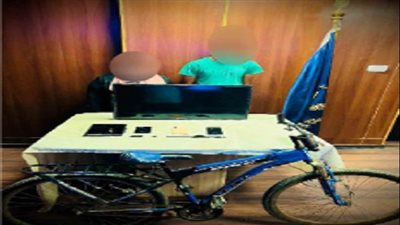 بعد 4 وقائع.. كاميرات المراقبة تفضح حرامية المساكن بالشروق