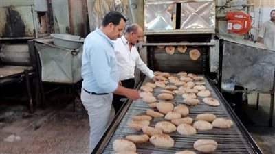 تحرير 124 محضرا مخالفا خلال حملات تموينية ورقابية بمراكز المنيا