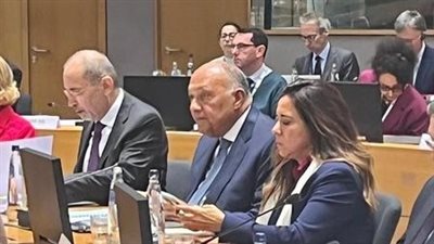 «شكري» يدعو إلى ضرورة تضافر التحركات العربية والأوروبية للوقف الحرب على غزة