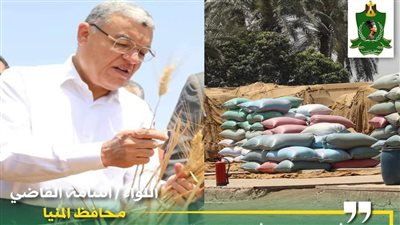 توريد 312 ألف طن قمح بشون وصوامع المنيا منذ بدء الموسم