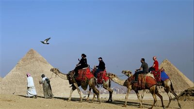 الدول العربية... سحر يأسر المزيد من السياح الصينيين