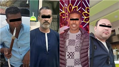 القبض على 3 أشخاص قاوموا رجال الأمن أثناء ضبط متهم هارب من أحكام قضائية في حلوان