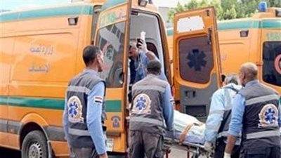 متوفيين ومصابين في حوادث الطرق بمحافظات أسوان والفيوم والدقهلية والشرقية والجيزة