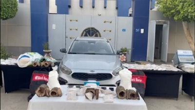 ضبط محاولة تهريب بقيمة 125 مليون جنيه لمخدر الكبتاجون داخل جزوع أشجار