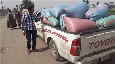 ضبط 3 طن قمح متجه خارج محافظة المنيا دون تصريح