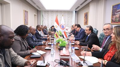 وزير الصحة يستقبل نظيره الزيمبابوي لبحث سبل التعاون 