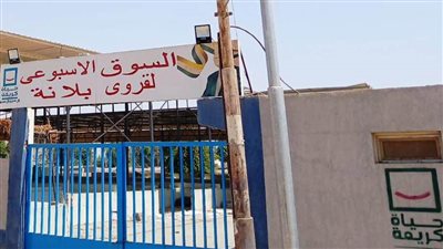 محافظ أسوان يوجه بسرعة تلبية مطالب أهالى قرية بلانة بنصر النوبة