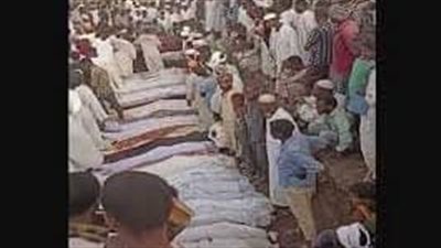 المنظمة العربية تدين جرائم القتل فى 