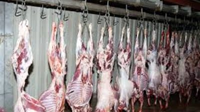 تفاصيل استعدادات مجازر القليوبية لاستقبال عيد الفطر...صور