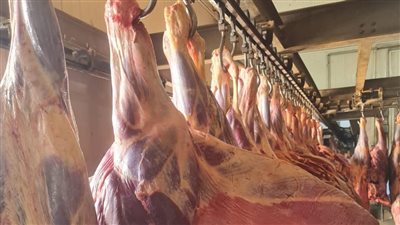 وزير التموين: تخفيض 20% على اللحوم والدواجن بمناسبة عيد الأضحى