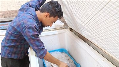 حملة مكبرة على أشهر مطاعم الأسماك والدواجن فى أسوان والنتيجة صادمة