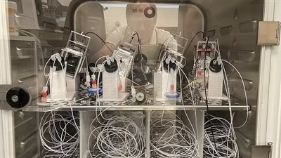 الكمبيوتر الحي.. علماء يبتكرون أول حاسوب مصنوع من أدمغة بشرية