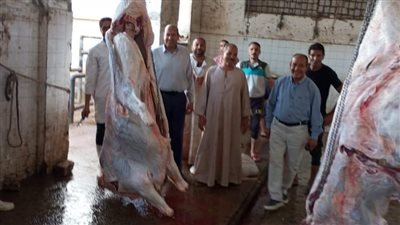«بيطرى المنيا» يضبط نصف طن لحوم فاسدة بالأسواق