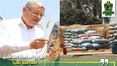 توريد 391 ألف طن قمح منذ بدء الموسم بالمنيا 