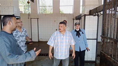 محافظ المنيا: جاهزية المجازر وتكثيف الحملات الرقابية استعدادا لعيد الأضحى المبارك