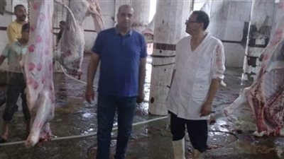 مدير الطب البيطري بدمياط يتابع انتظام العمل بالمجازر 