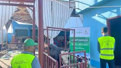  الأورمان: توزيع اللحوم على الأولى بالرعاية في الدقهلية