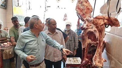 محافظ المنيا: حملات مستمرة على مجازر المحافظة خلال أيام العيد