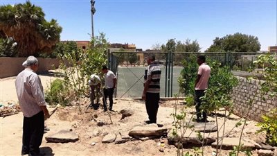 محافظ أسوان: تكثيف أعمال زيادة المسطحات الخضراء بزراعة الأشجار بالطرق والشوارع