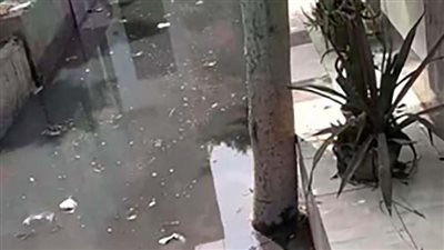 تحرك عاجل لإنقاذ ضريح الشعراوي من الغرق في مياه الصرف بالدقهلية